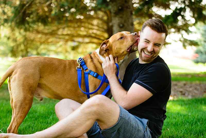 doggin_blog_first_time_pet_owner.002 (1)